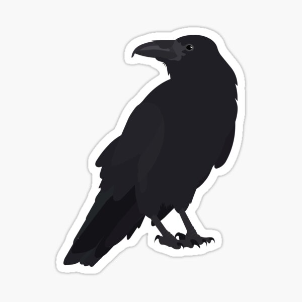 Common Raven Corvus Corax Sticker For Sale By Emmapardini Redbubble