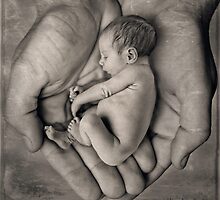 Handle with Care by micklyn
