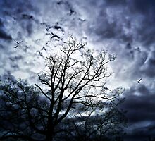 The perfect setting for my nightmares by Scott Mitchell