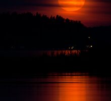 Moon Shine by Dale Lockwood