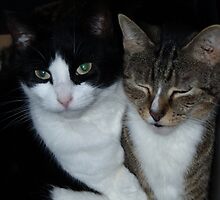 Be My Valentine by Barry Doherty