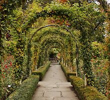 Through the Arch by AnnDixon