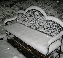 Feb. 19 2012 Snowstorm 57 by dge357