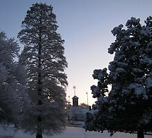Feb. 19 2012 Snowstorm 74 by dge357
