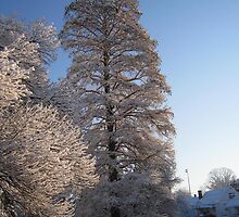 Feb. 19 2012 Snowstorm 110 by dge357