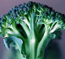 Broccoli by RaphArt