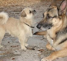 I'S BIGGEST (with apologies to Victorian artist Arthur Elsley) by May Lattanzio