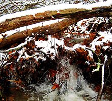 little winter waterfall by LoreLeft27