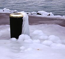 Frozen Bin by Sunil Bhardwaj