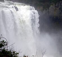 The Voice of the Falls by Elaine Bawden