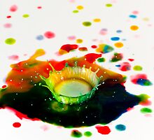 Splash! by Malcolm Garth