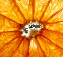 Grapefruit by Dan Lauf