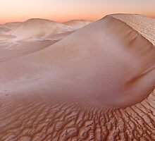 Deserted by Mieke Boynton