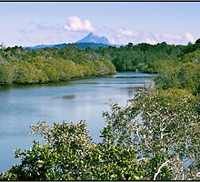 Cudgen Creek & Mt Warning 1 by John Van-Den-Broeke