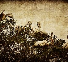 Family Tree by Andrew Paranavitana