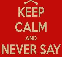 Goonies Never say die by splashzone