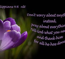 Phillipians 4:16 by Deborah McLain