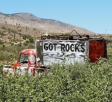 Got Rocks? by Martha Sherman