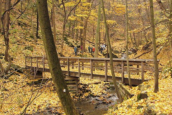... Portfolio â€º Autumn hike to Tiffany Falls, Hamilton, Ontario, Canada
