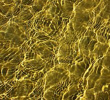 Refractive Index by Mark B Williams