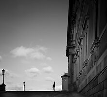 On Guard by peterlevi