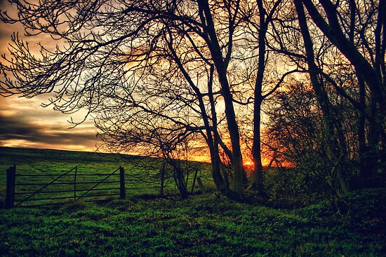 "English Countryside Sunset HDR " by Vicki Field | Redbubble