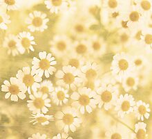 Vanilla Kisses by Romanovna Fine Art Prints