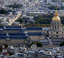 Napoleon would be pleased... by su2anne