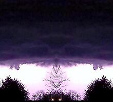 March 19 & 20 2012 Lightning Art 52 by dge357