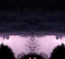 March 19 & 20 2012 Lightning Art 59 by dge357