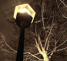 Snowstorm in Seattle by malonis