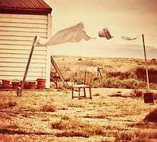 Wash Day in Dungeness by Nicola Smith