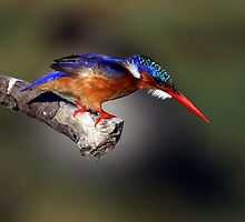 a look in time by ajay2011