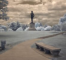 Orpheus in Infra Red at Fort McHenry in Baltimore, Maryland by Andrew Vox