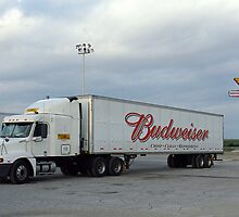 Route 66 - Dixie Truckers Home by Frank Romeo