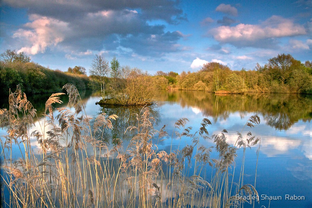 Spring Reflection Whisby Park By Bradley Shawn Rabon Redbubble