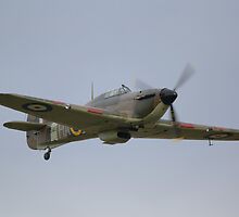 Hawker Hurricane MK12A by Nigel Bangert