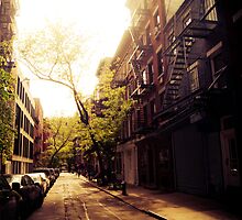 Sunlit Street - Greenwich Village - New York City by Vivienne Gucwa