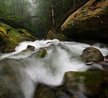 Top of the Chasm by Robert Mullner