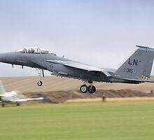 USAF F-15E Strike Eagle by Nigel Bangert