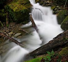 Chasm Downstrem by Robert Mullner