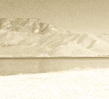 Solitude by Corri Gryting Gutzman