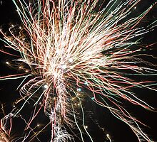 Dancing Fire by Bria Williams