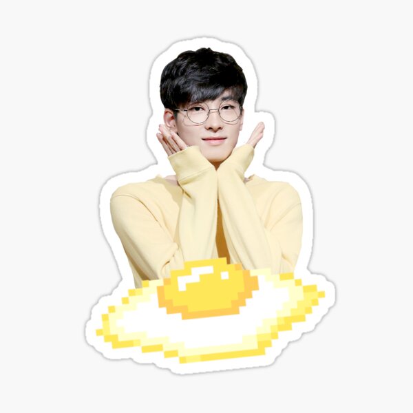 Wonwoo Egg Seventeen Sticker For Sale By Ichigobunny Redbubble