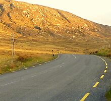 The Road Most Travelled by Fara