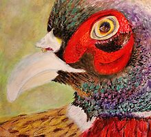 A Pheasant Portrait by Kathie Nichols