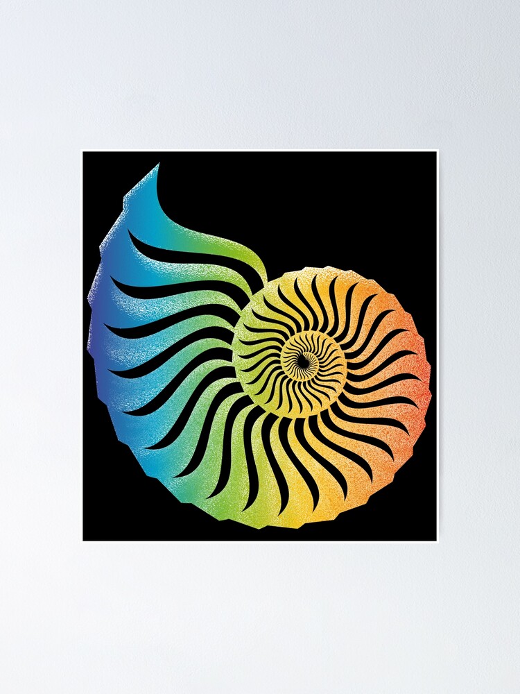 Nautilus Rainbow Edition Poster By Jwqlb Redbubble