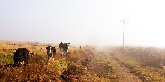 Mooooving moment by Rosalie Dale Mooooving moment by Rosalie Dale