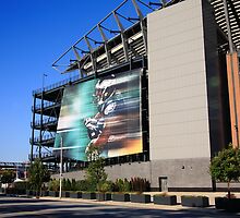 Philadelphia Eagles - Lincoln Financial Field by Frank Romeo