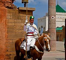Morocco. Rabat. Guard at the Mausoleum of Mohammed V. by vadim19